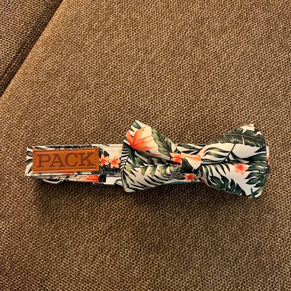 Pack Leashes Collar: Tropical Bow Tie - Green and Orange